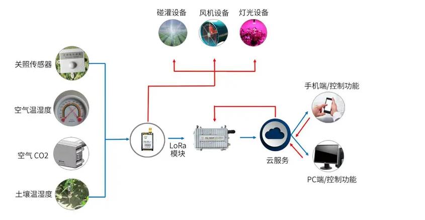 LoRa土壤温湿度监测，实现农业生长环境智能控制