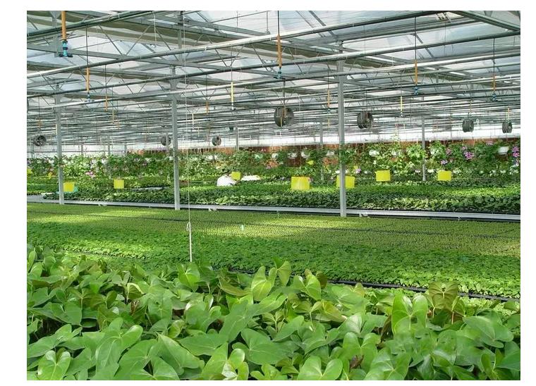 LoRa土壤温湿度监测,实现农业生长环境智能控制 LoRa土壤温湿度监测,实现农业生长环境智能控制